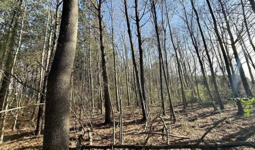 Photo #51 of 431 Icaria Rd, Tyner, NC 72.0 acres