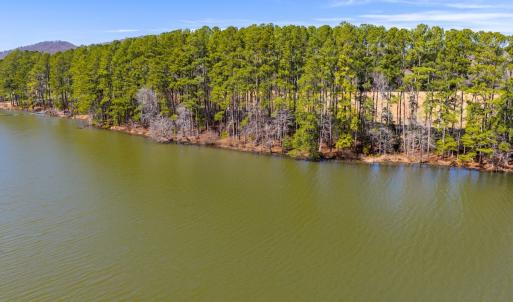 Photo #8 of 1347 Newsome Road, Denton, NC 34.8 acres