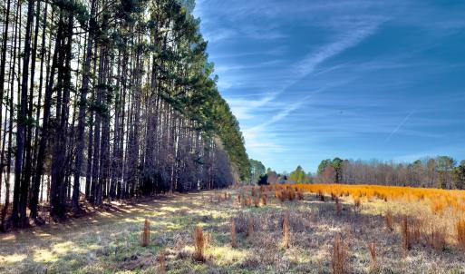 Photo #9 of 1347 Newsome Road, Denton, NC 34.8 acres
