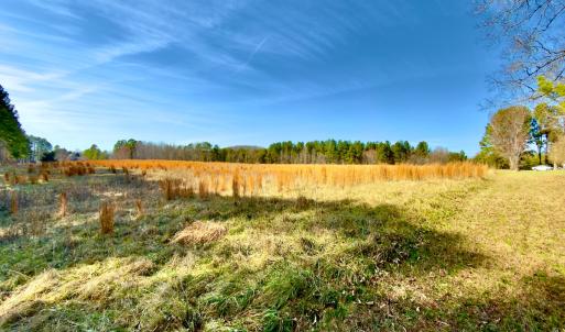Photo #10 of 1347 Newsome Road, Denton, NC 34.8 acres