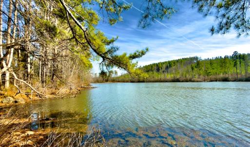 Photo #11 of 1347 Newsome Road, Denton, NC 34.8 acres