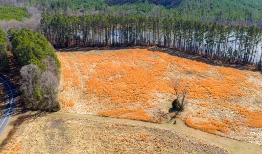 Photo #16 of 1347 Newsome Road, Denton, NC 34.8 acres
