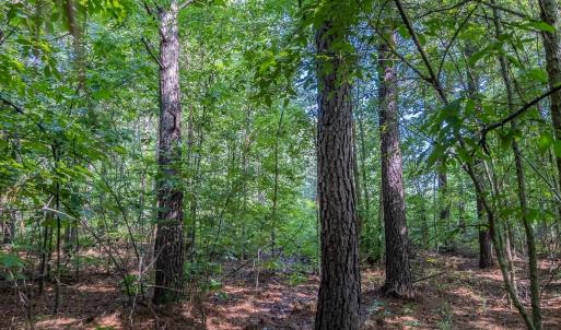 Photo #17 of Off Cauble Rd, Mt. Pleasant, NC 20.0 acres