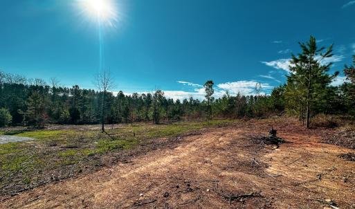 Photo #16 of Off Of Waqua Creek Rd, Rawlings, VA 12.7 acres