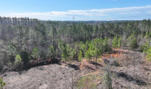 Photo #17 of Off Of Waqua Creek Rd, Rawlings, VA 12.7 acres