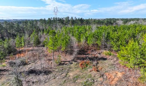 Photo #18 of Off Of Waqua Creek Rd, Rawlings, VA 12.7 acres