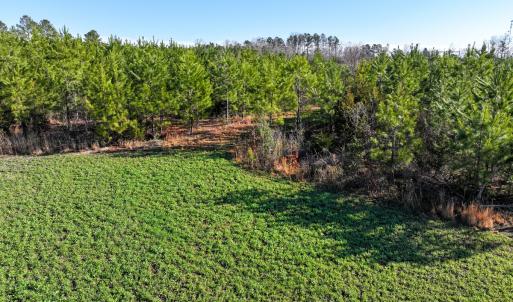 Photo #23 of Off Of Waqua Creek Rd, Rawlings, VA 12.7 acres