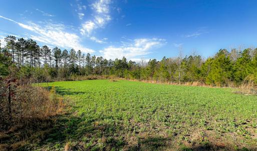 Photo #24 of Off Of Waqua Creek Rd, Rawlings, VA 12.7 acres