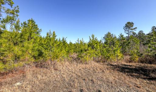 Photo #29 of Off Of Waqua Creek Rd, Rawlings, VA 12.7 acres