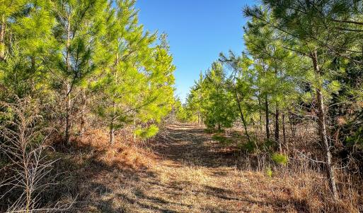 Photo #31 of Off Of Waqua Creek Rd, Rawlings, VA 12.7 acres