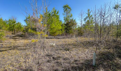 Photo #34 of Off Of Waqua Creek Rd, Rawlings, VA 12.7 acres