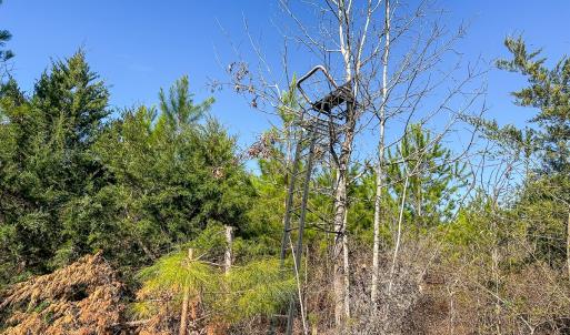 Photo #35 of Off Of Waqua Creek Rd, Rawlings, VA 12.7 acres