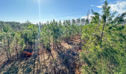 Photo #36 of Off Of Waqua Creek Rd, Rawlings, VA 12.7 acres