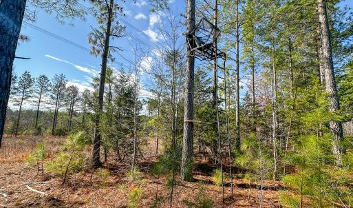 Photo #37 of Off Of Waqua Creek Rd, Rawlings, VA 12.7 acres