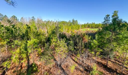 Photo #38 of Off Of Waqua Creek Rd, Rawlings, VA 12.7 acres