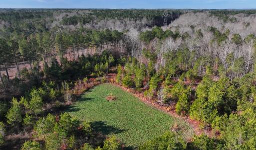 Photo #4 of Off Of Waqua Creek Rd, Rawlings, VA 12.7 acres