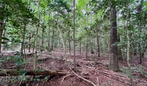 Photo #7 of off of Chestnut Dr, Bracey, VA 0.5 acres