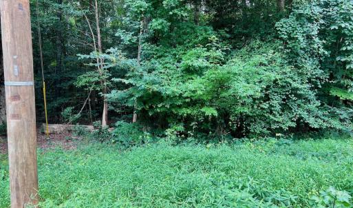 Photo #29 of off of Chestnut Dr, Bracey, VA 0.5 acres