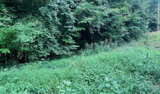 Photo #30 of off of Chestnut Dr, Bracey, VA 0.5 acres
