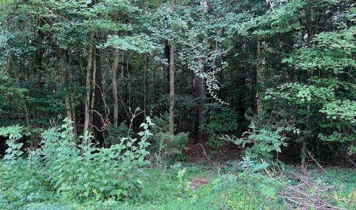 Photo #31 of off of Chestnut Dr, Bracey, VA 0.5 acres