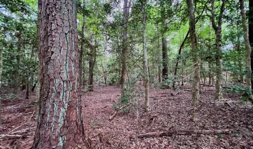 Photo #32 of off of Chestnut Dr, Bracey, VA 0.5 acres