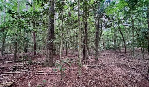 Photo #33 of off of Chestnut Dr, Bracey, VA 0.5 acres