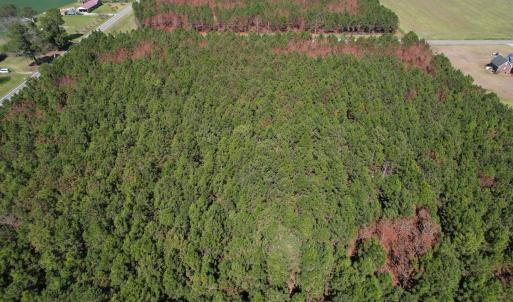Photo #10 of Off Old Stake Road, Clarendon, NC 26.8 acres