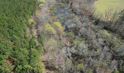 Photo #11 of Off Old Stake Road, Clarendon, NC 26.8 acres