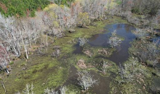 Photo #13 of Off Old Stake Road, Clarendon, NC 26.8 acres