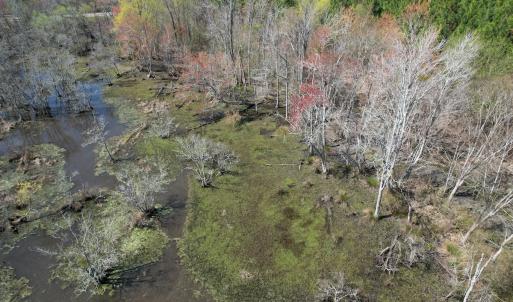 Photo #14 of Off Old Stake Road, Clarendon, NC 26.8 acres