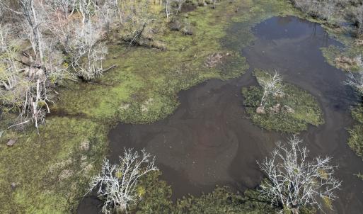 Photo #15 of Off Old Stake Road, Clarendon, NC 26.8 acres