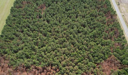 Photo #16 of Off Old Stake Road, Clarendon, NC 26.8 acres