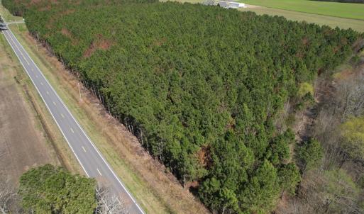 Photo #1 of Off Old Stake Road, Clarendon, NC 26.8 acres