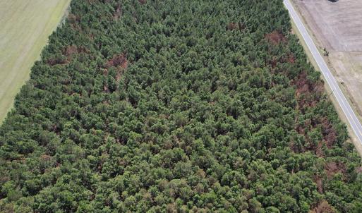 Photo #2 of Off Old Stake Road, Clarendon, NC 26.8 acres