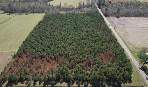 Photo #4 of Off Old Stake Road, Clarendon, NC 26.8 acres