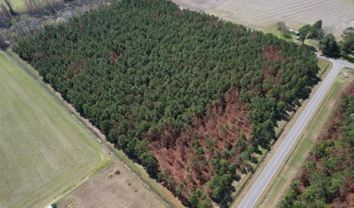 Photo #5 of Off Old Stake Road, Clarendon, NC 26.8 acres