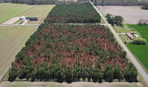 Photo #7 of Off Old Stake Road, Clarendon, NC 26.8 acres