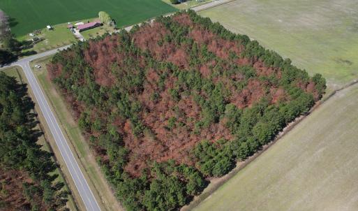 Photo #9 of Off Old Stake Road, Clarendon, NC 26.8 acres