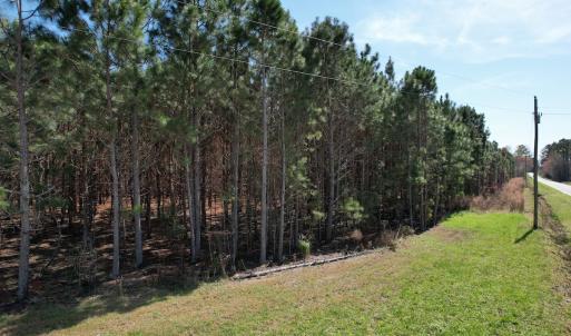 Photo #20 of Off Old Stake Road, Clarendon, NC 26.8 acres