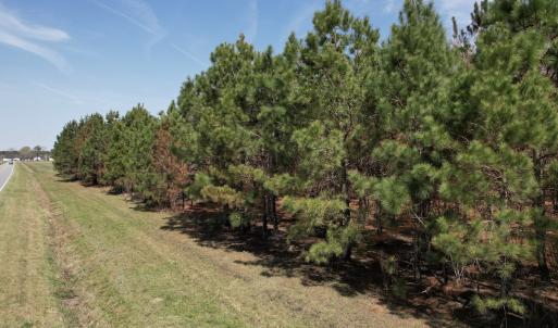 Photo #21 of Off Old Stake Road, Clarendon, NC 26.8 acres