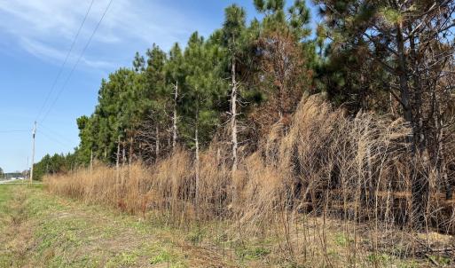 Photo #35 of Off Old Stake Road, Clarendon, NC 26.8 acres