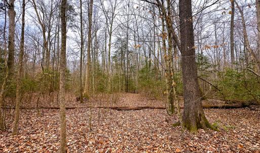 Photo #12 of Off of Sparks Terrace, Quinton, VA 116.3 acres