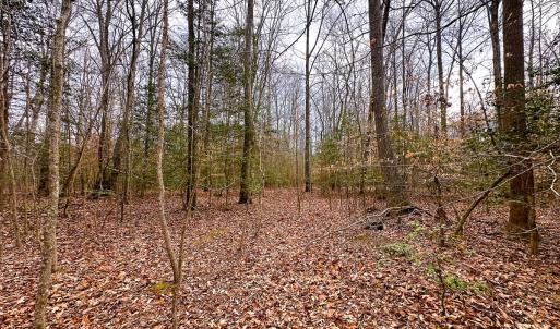Photo #13 of Off of Sparks Terrace, Quinton, VA 116.3 acres