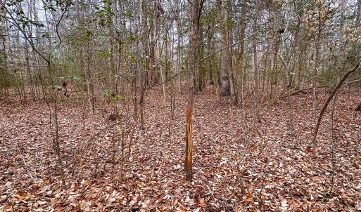 Photo #14 of Off of Sparks Terrace, Quinton, VA 116.3 acres