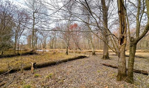 Photo #18 of Off of Sparks Terrace, Quinton, VA 116.3 acres