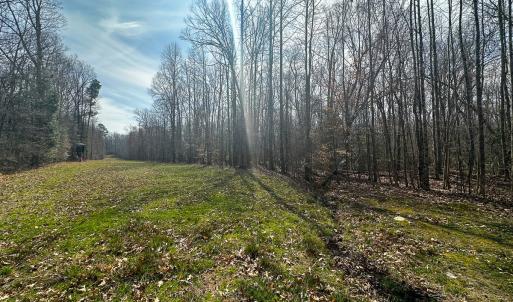 Photo #24 of Off of Sparks Terrace, Quinton, VA 116.3 acres