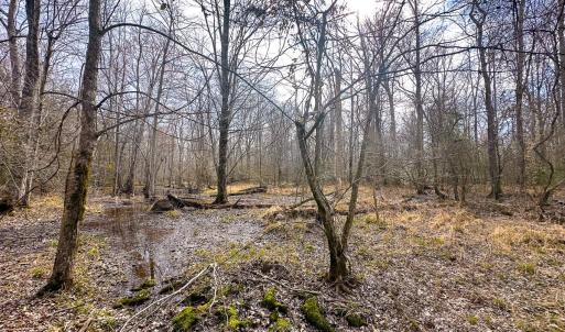 Photo #35 of Off of Sparks Terrace, Quinton, VA 116.3 acres