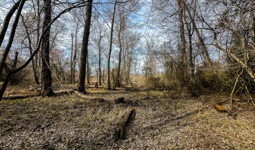 Photo #36 of Off of Sparks Terrace, Quinton, VA 116.3 acres