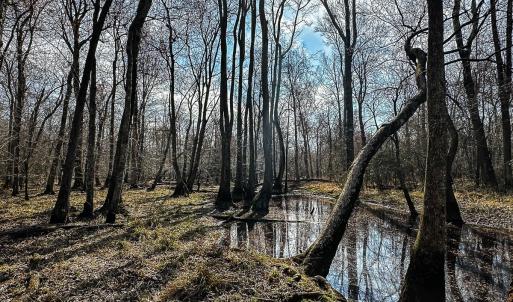 Photo #37 of Off of Sparks Terrace, Quinton, VA 116.3 acres