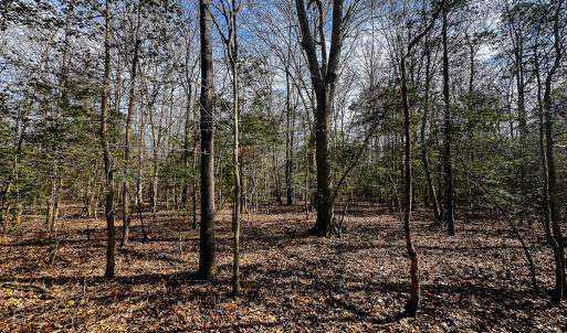 Photo #38 of Off of Sparks Terrace, Quinton, VA 116.3 acres